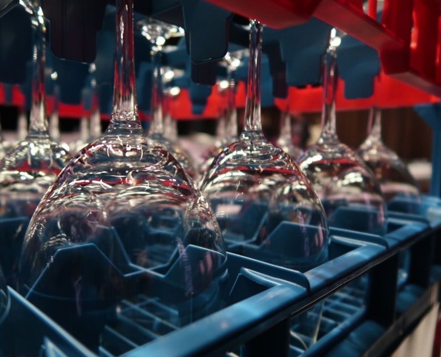 Tasting Riedel Restaurant Temparnillo/Hermitage (Serie Medium)